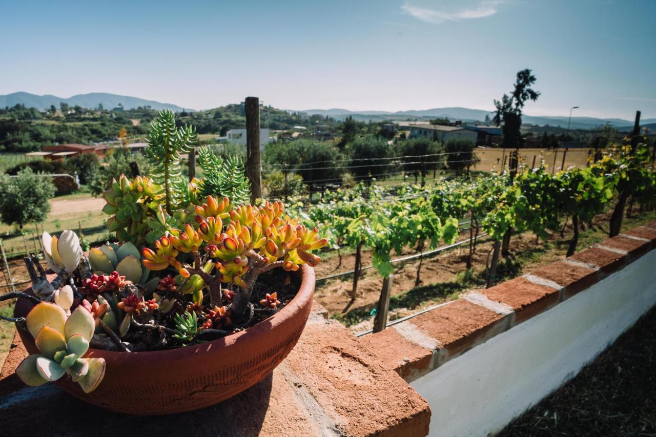 Quinta Sofia Valle de Guadalupe - Solo Adultos Esterno foto