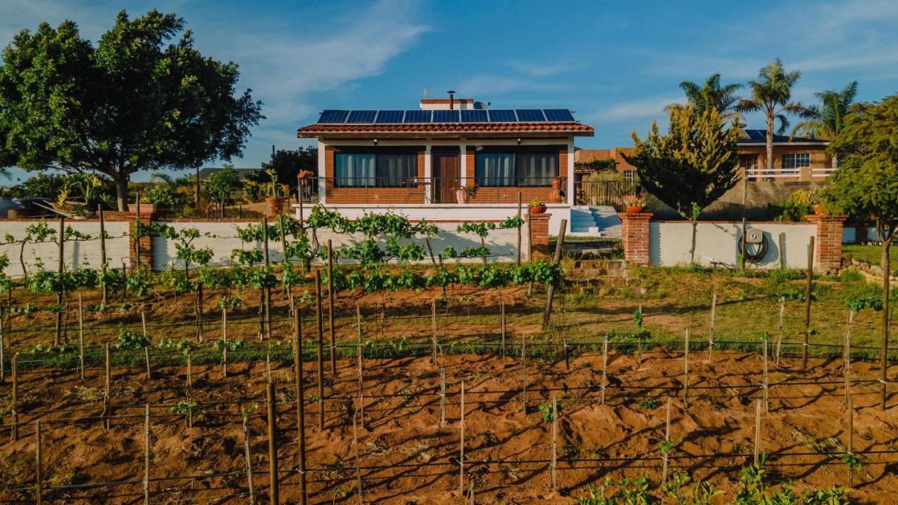 Quinta Sofia Valle de Guadalupe - Solo Adultos Esterno foto