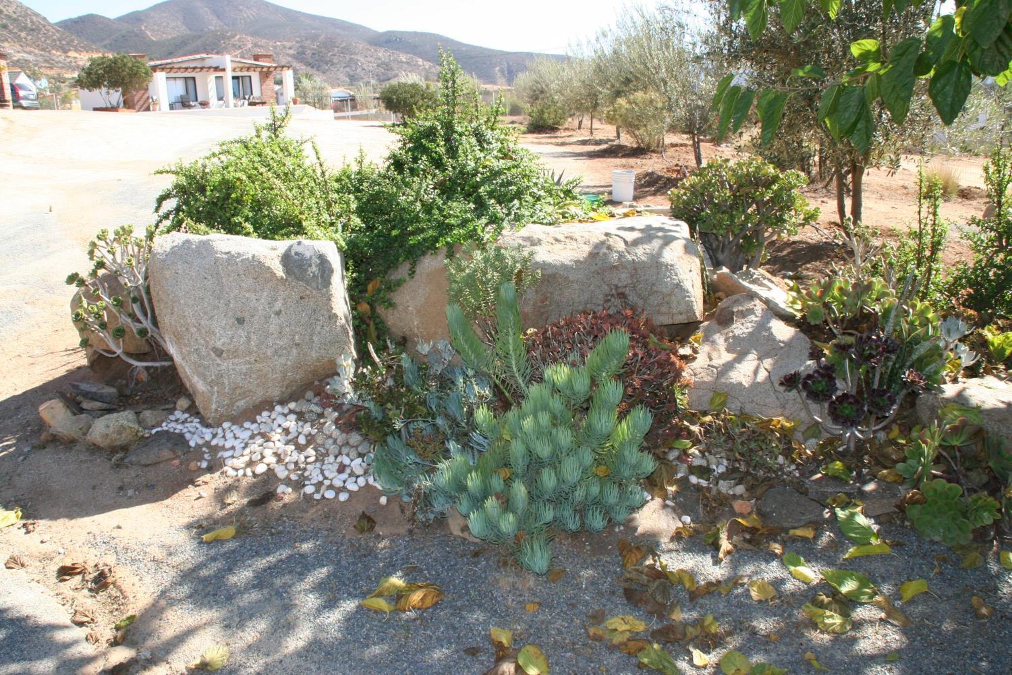 Quinta Sofia Valle de Guadalupe - Solo Adultos Esterno foto