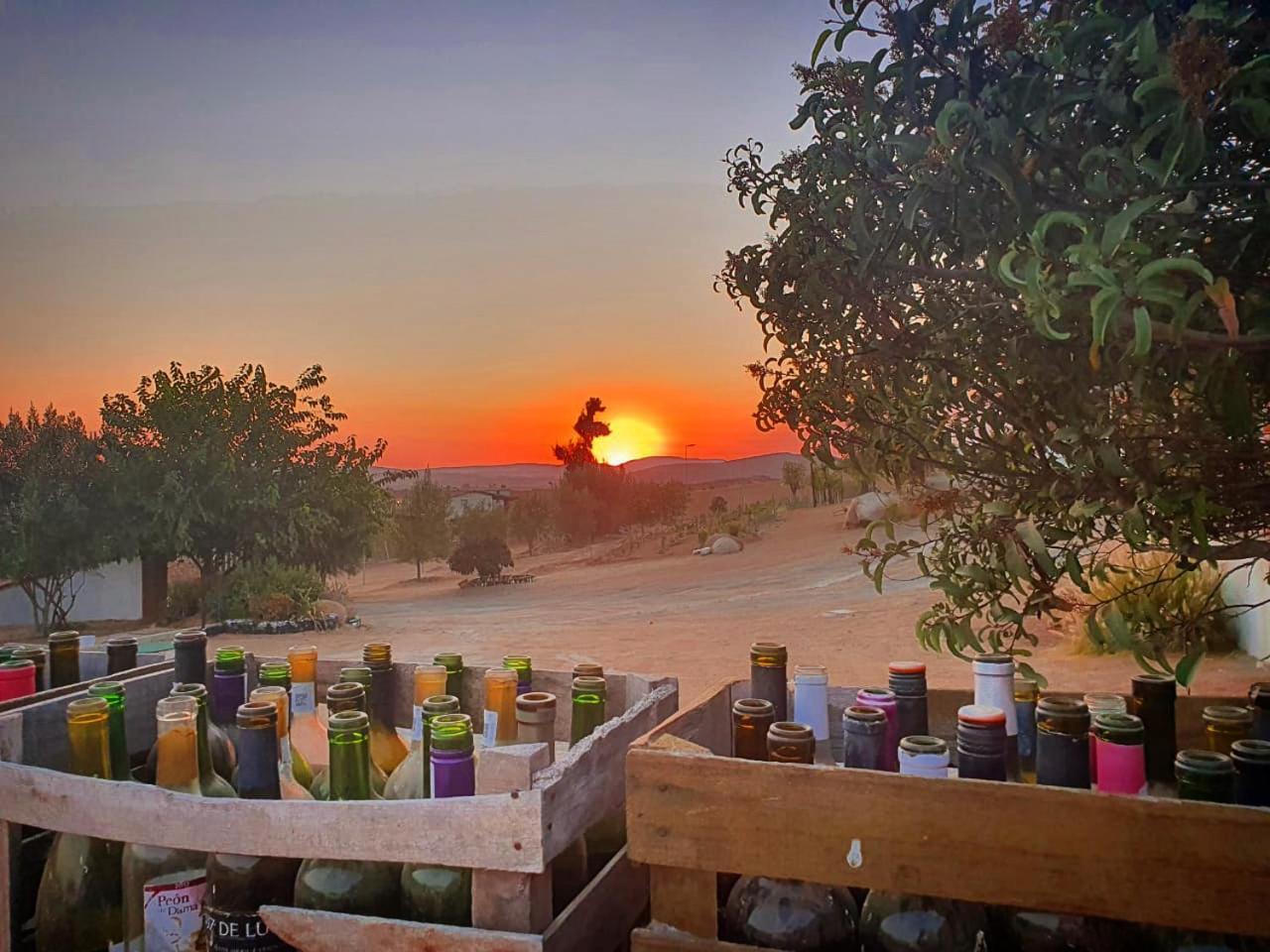 Quinta Sofia Valle de Guadalupe - Solo Adultos Esterno foto